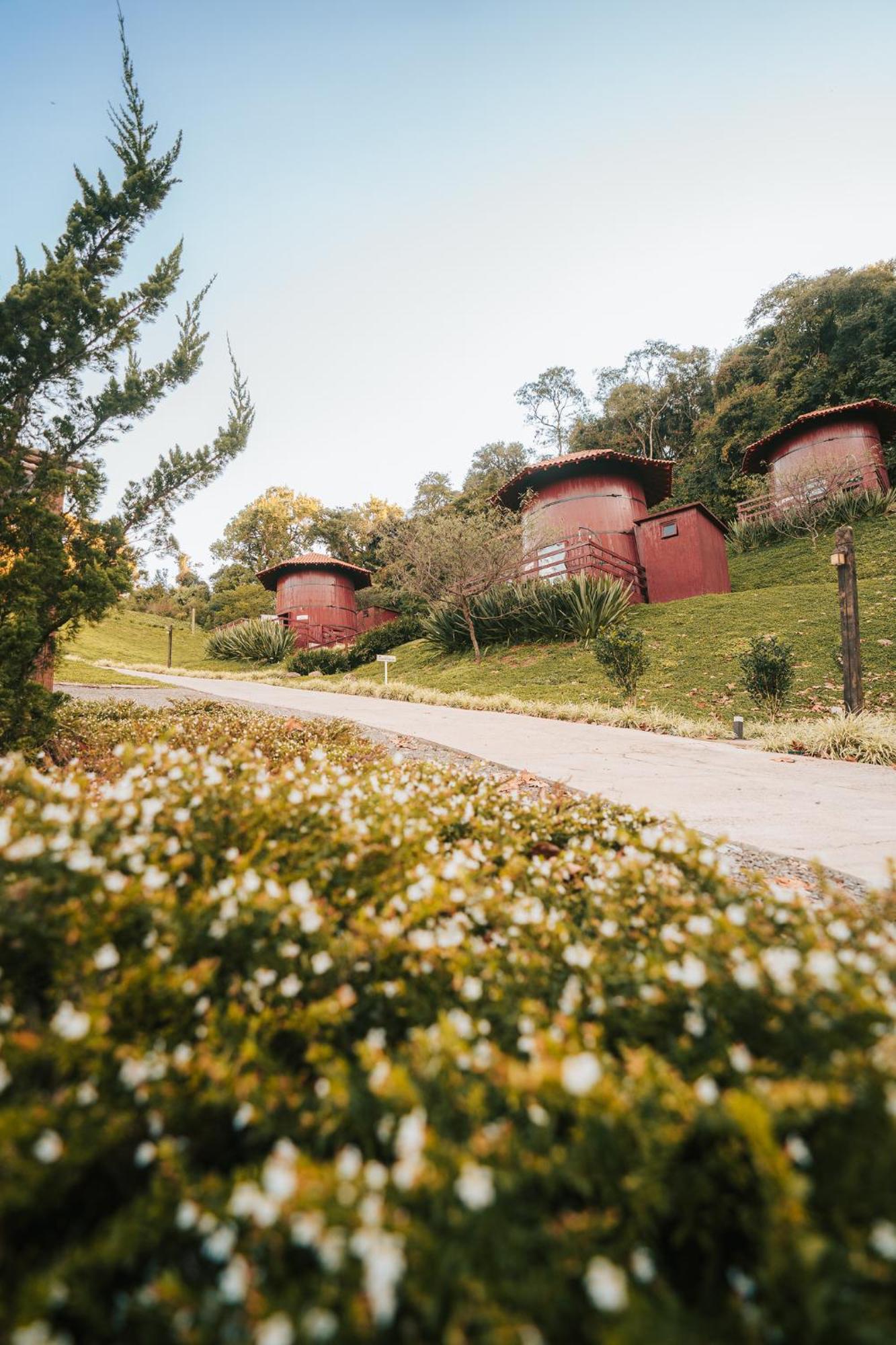 Pipas Do Vale - Vale Dos Vinhedos Hotel Bento Gonçalves Екстериор снимка